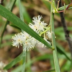 Unverified at suppressed - suppressed