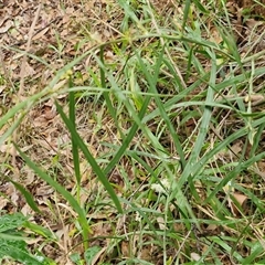 Unverified at suppressed - suppressed