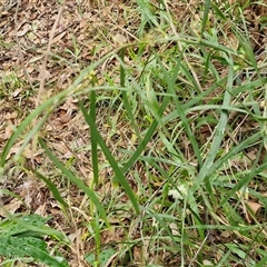 Unverified at suppressed - suppressed