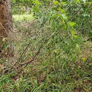 Unverified at suppressed - suppressed