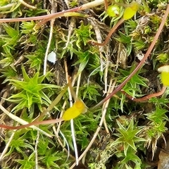 Unverified at suppressed - suppressed