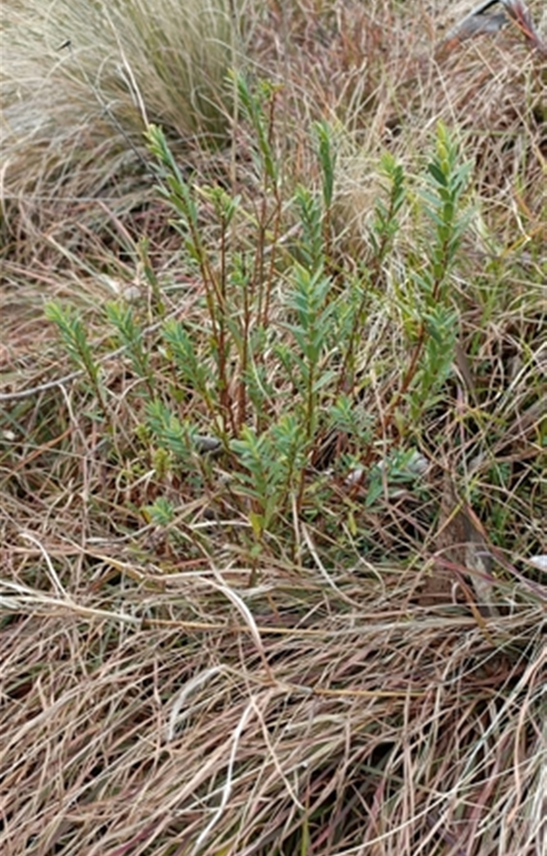 Unverified at suppressed - suppressed