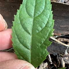 Unverified at suppressed - suppressed