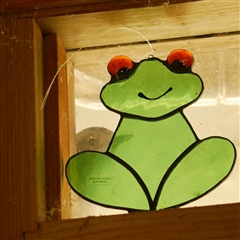 Colluricincla harmonica (Grey Shrikethrush) at Freshwater Creek, VIC - 27 Aug 2025 by WendyEM