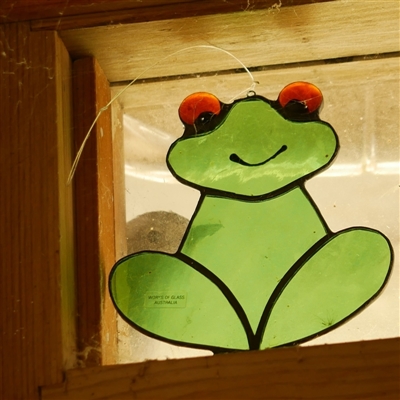 Colluricincla harmonica (Grey Shrikethrush) at Freshwater Creek, VIC - 27 Aug 2025 by WendyEM