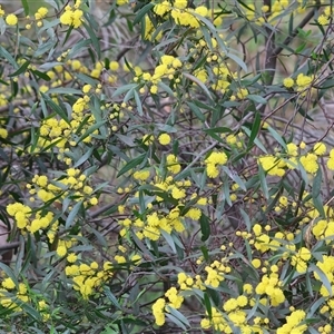 Unverified at suppressed - suppressed