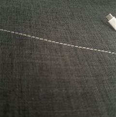 Thysanotus patersonii at Doveton, VIC - 31 Aug 2025 by tesst