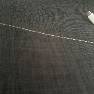 Thysanotus patersonii at Doveton, VIC - 31 Aug 2025 by tesst