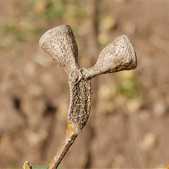 Unverified at suppressed - suppressed