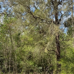 Unverified at suppressed - suppressed