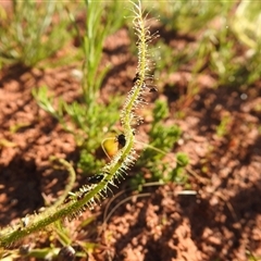 Unverified at suppressed - suppressed