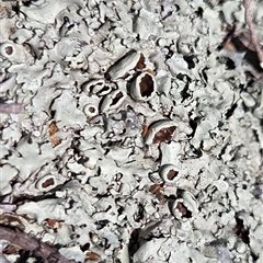 Unverified at suppressed - suppressed