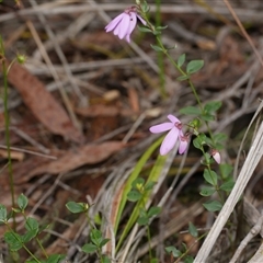 Unverified at suppressed - suppressed