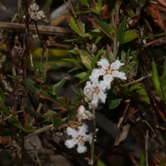 Unverified at suppressed - suppressed