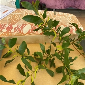 Unverified at suppressed - suppressed