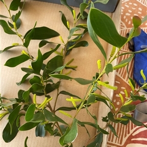 Unverified at suppressed - suppressed