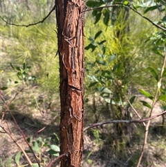 Unverified at suppressed - suppressed