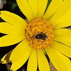 Unverified at suppressed - suppressed