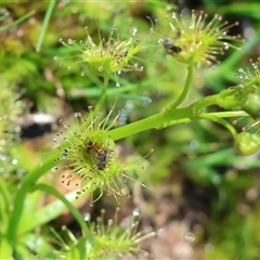 Unverified at suppressed - suppressed