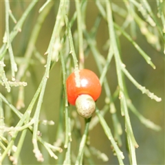 Unverified at suppressed - suppressed