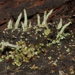 Unverified at suppressed - suppressed