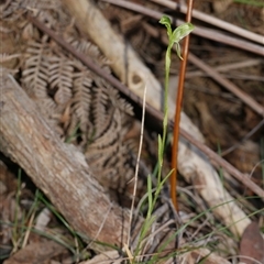 Unverified at suppressed - suppressed