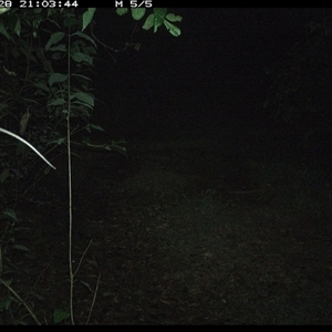 Unverified at suppressed - suppressed