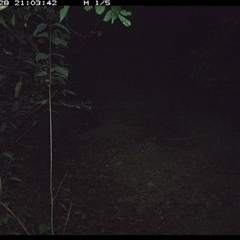 Unverified at suppressed - suppressed