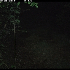 Unverified at suppressed - suppressed