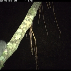 Unverified at suppressed - suppressed