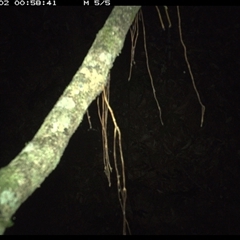 Unverified at suppressed - suppressed