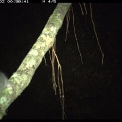 Unverified at suppressed - suppressed