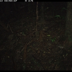 Unverified at suppressed - suppressed