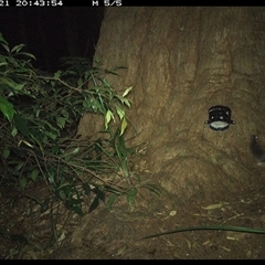 Unverified at suppressed - suppressed