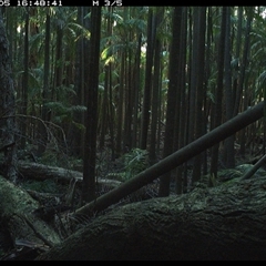 Unverified at suppressed - suppressed