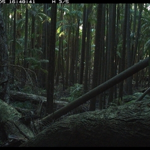 Unverified at suppressed - suppressed