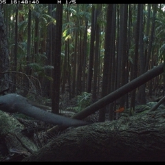 Unverified at suppressed - suppressed