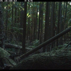 Unverified at suppressed - suppressed