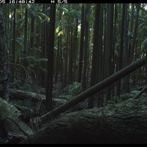 Unverified at suppressed - suppressed