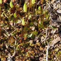 Unverified at suppressed - suppressed