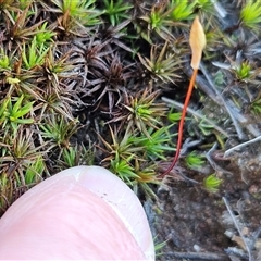 Unverified at suppressed - suppressed