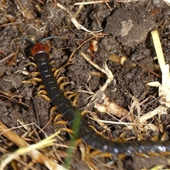 Unverified at suppressed - suppressed