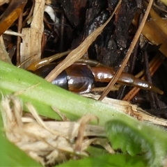 Unverified at suppressed - suppressed