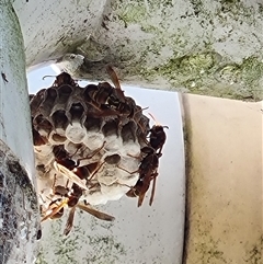 Unverified at suppressed - suppressed