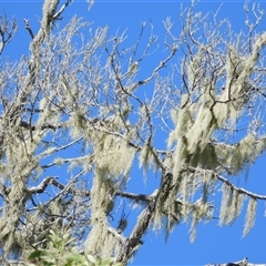 Unverified at suppressed - suppressed