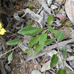 Unverified at suppressed - suppressed