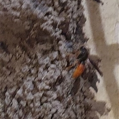 Unverified at suppressed - suppressed