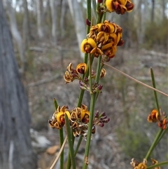 Unverified at suppressed - suppressed