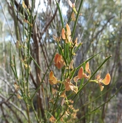 Unverified at suppressed - suppressed