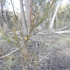 Unverified at suppressed - suppressed